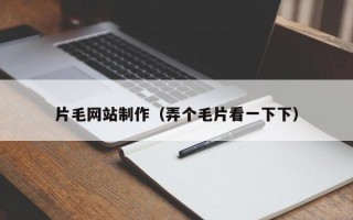 片毛網站制作（弄個毛片看一下下）
